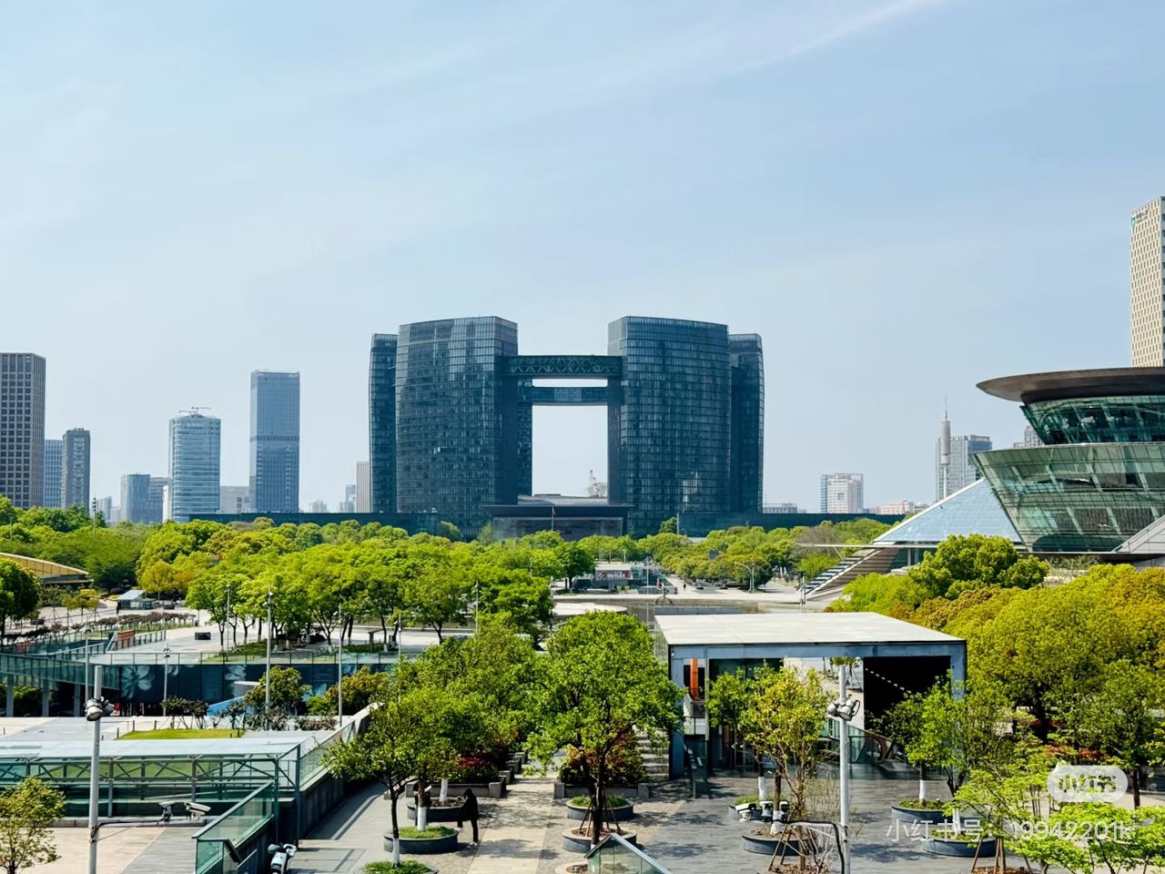 Study & Scholarships